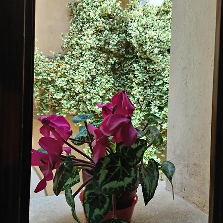 Apartamento Gigi